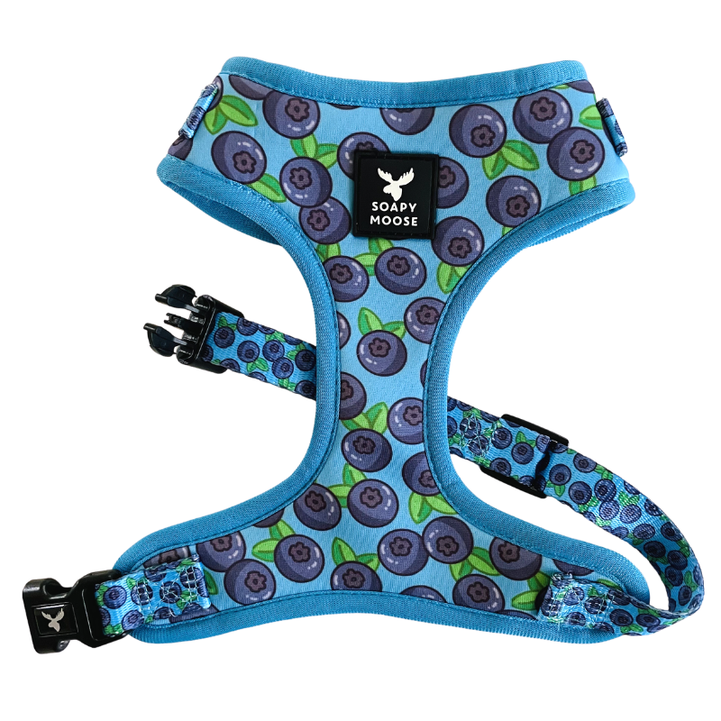 Blueberries | Adjustable Dog Harness