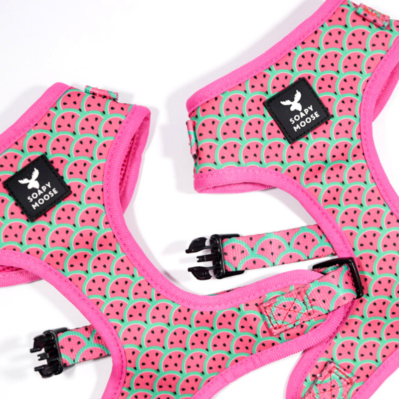 Soapy Moose Dog Harness | Hot Pink Watermelon | Peticular