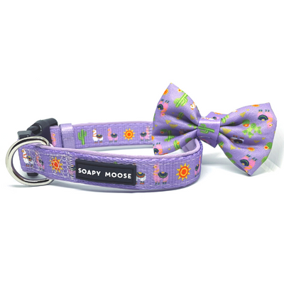 Lovely Llamas Dog Collar & Bow Tie