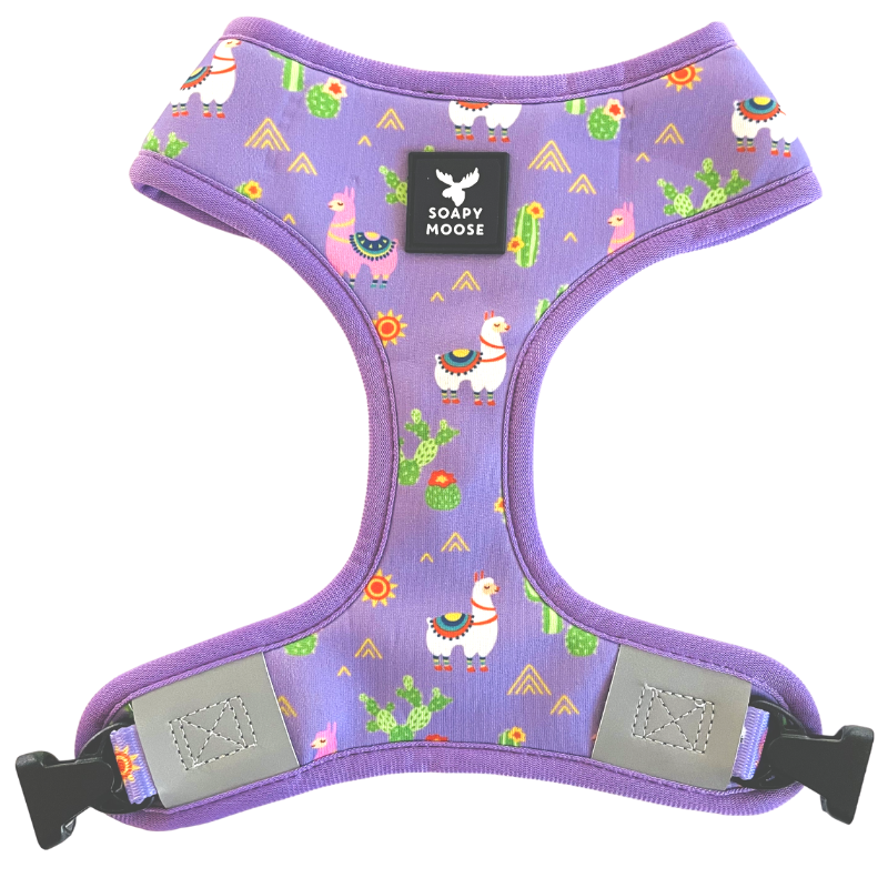 Lovely Llamas | Reversible Dog Harness