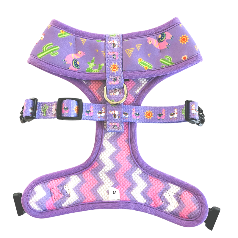 Lovely Llamas | Reversible Dog Harness