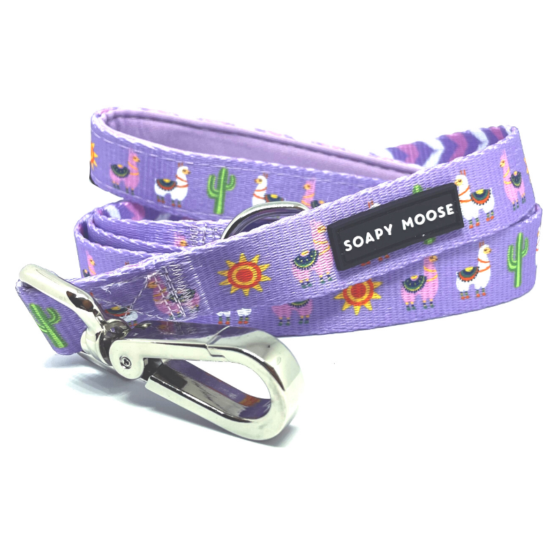 Lovely Llamas Dog Lead