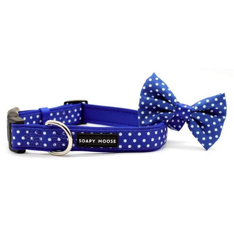 Soapy Moose Blue & White Polka Dots Collar | Peticular