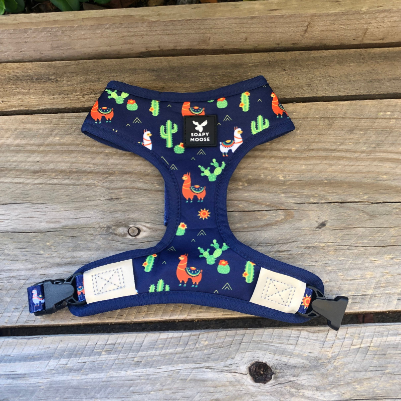 Soapy Moose Reversible Dog Harness | Desert Llamas | Peticular