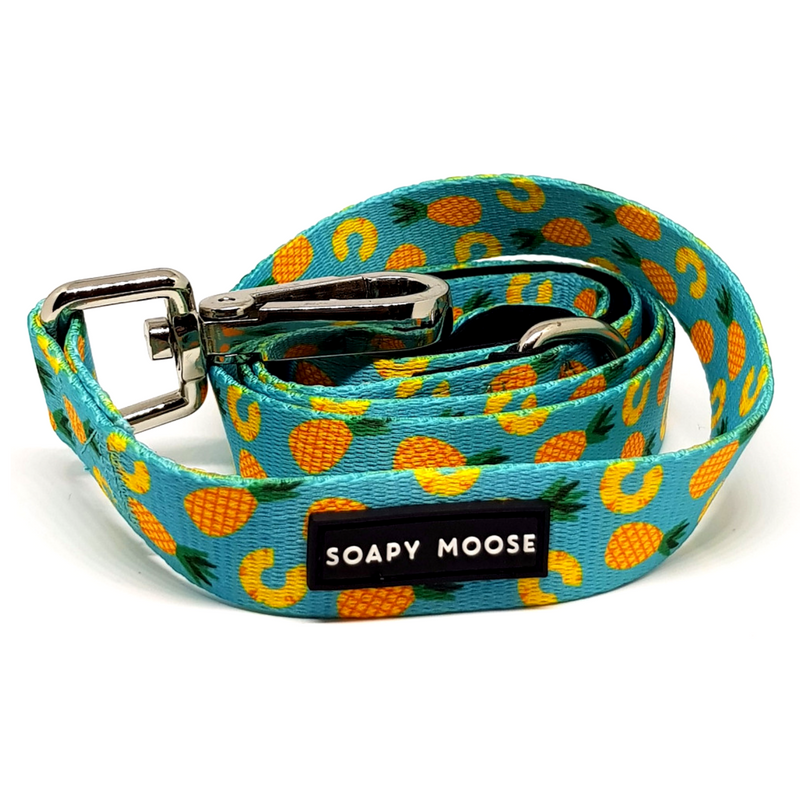 Soapy Moose Pineapple Slice Dog Lead | Peticular