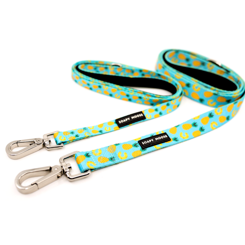 Soapy Moose Pineapple Slice Dog Lead | Peticular