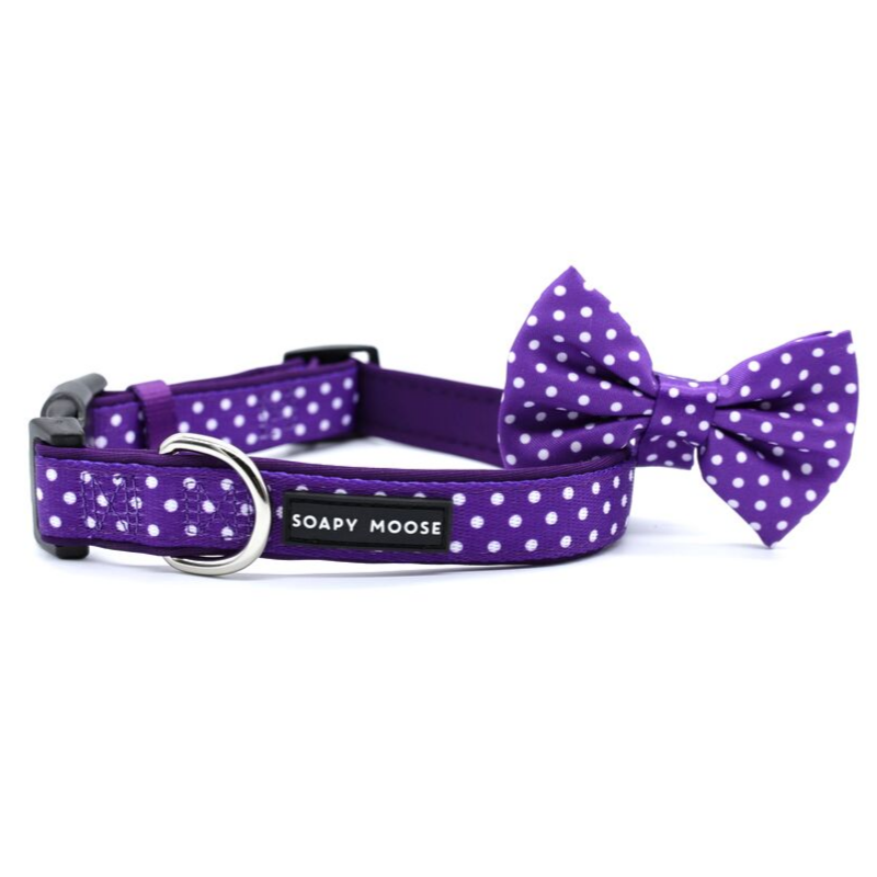 Soapy Moose Purple & White Polka Dots Collar | Peticular