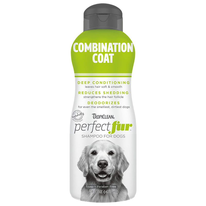 Ivory coat puppy sales shampoo