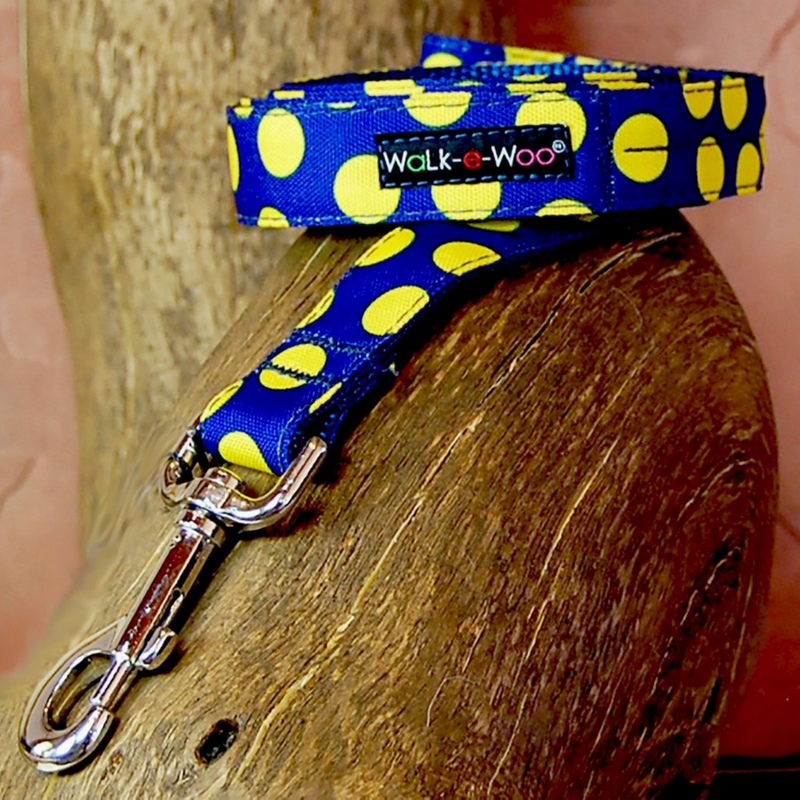 Polka Dot Lead | Neon Yellow on Blue - Peticular