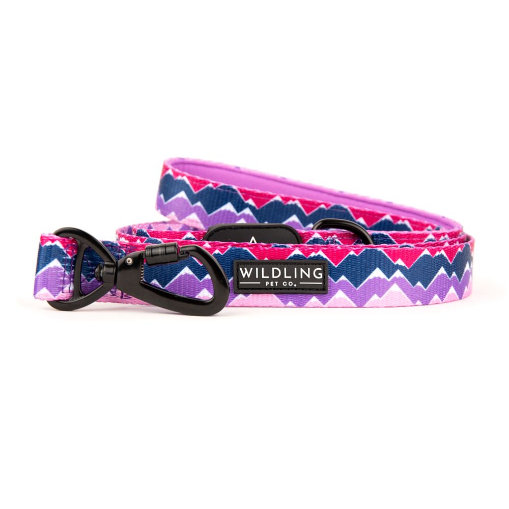 Adventure Dog Leash | Picchu