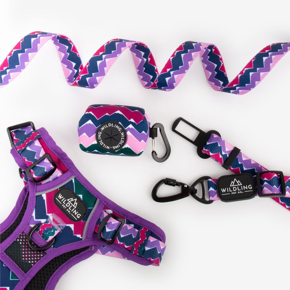 Adventure Dog Leash | Picchu