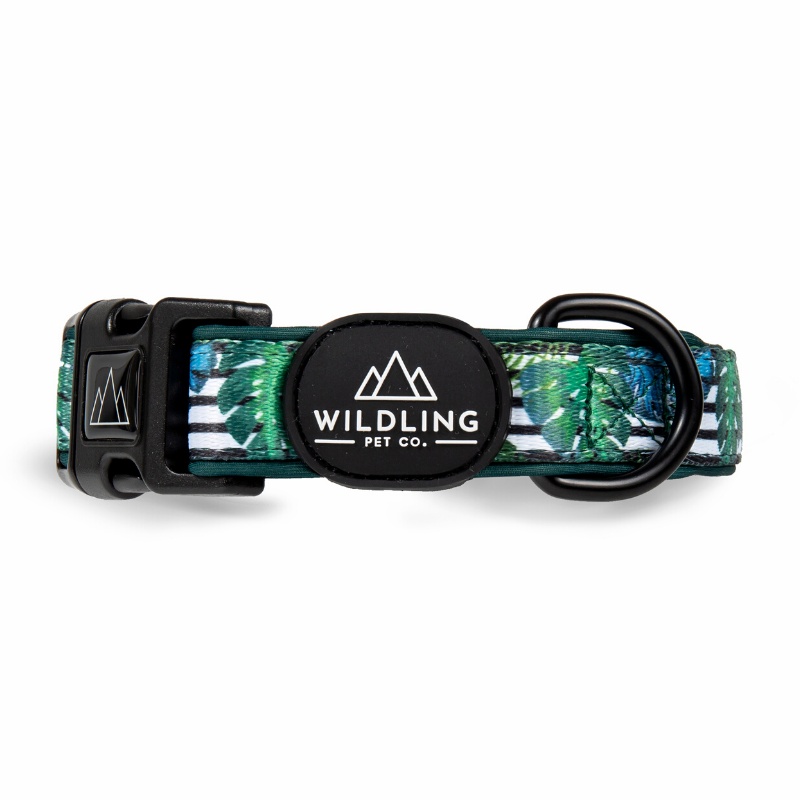Aloha Dog Collar