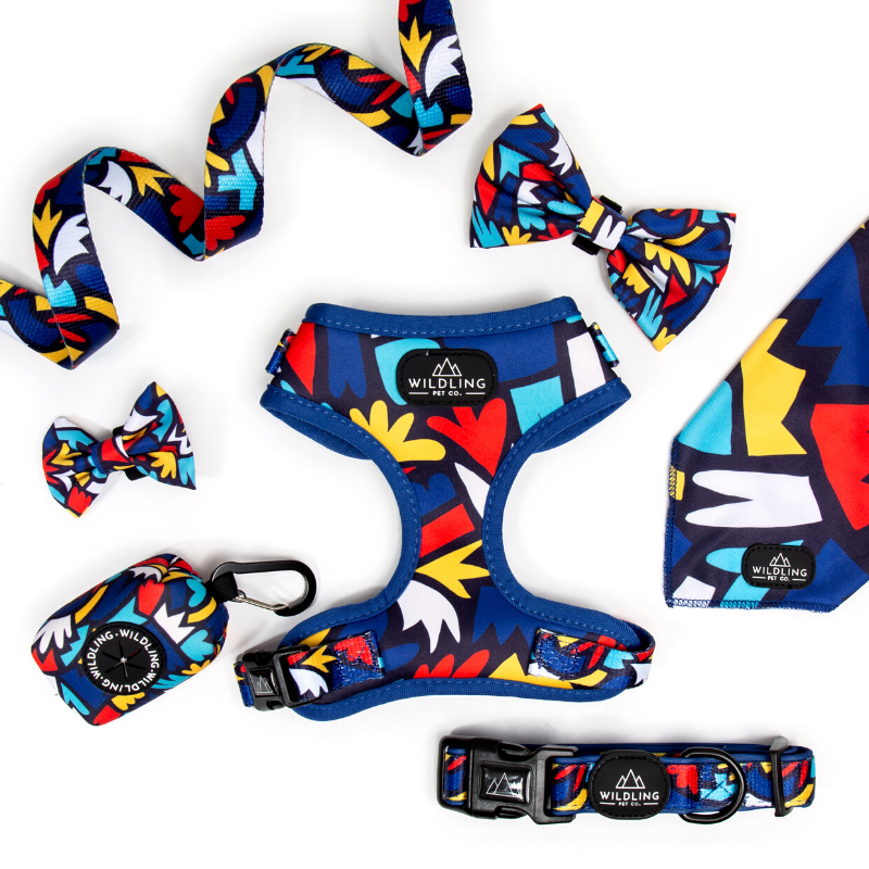 Fiesta Bow Tie