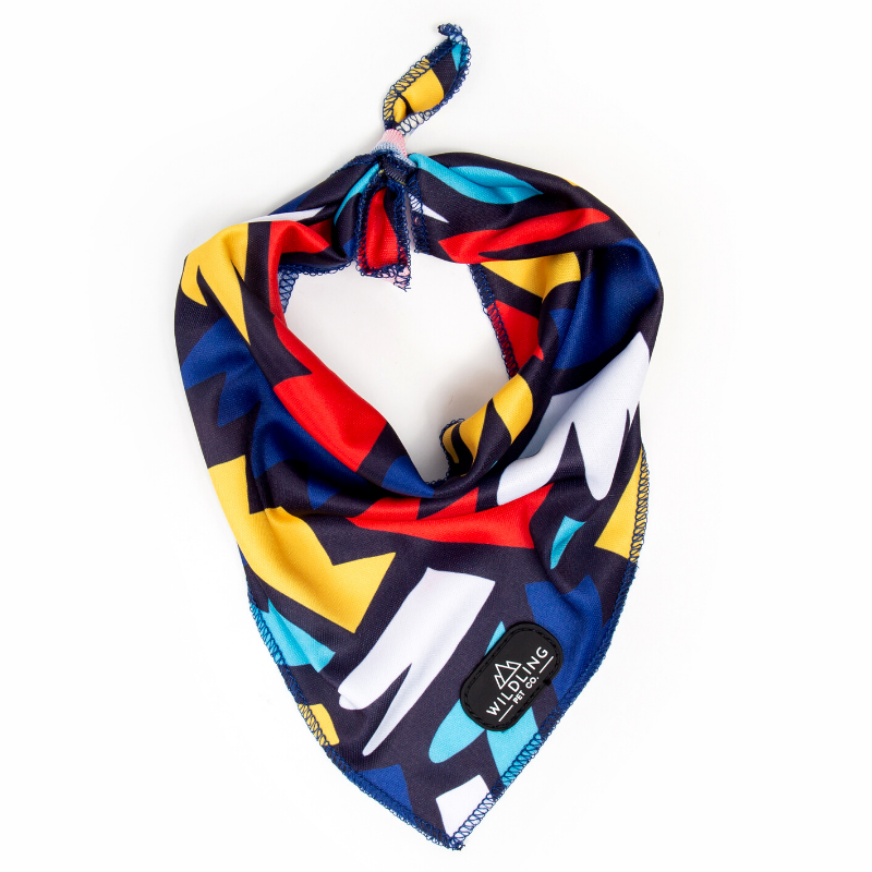 Fiesta Dog Bandana