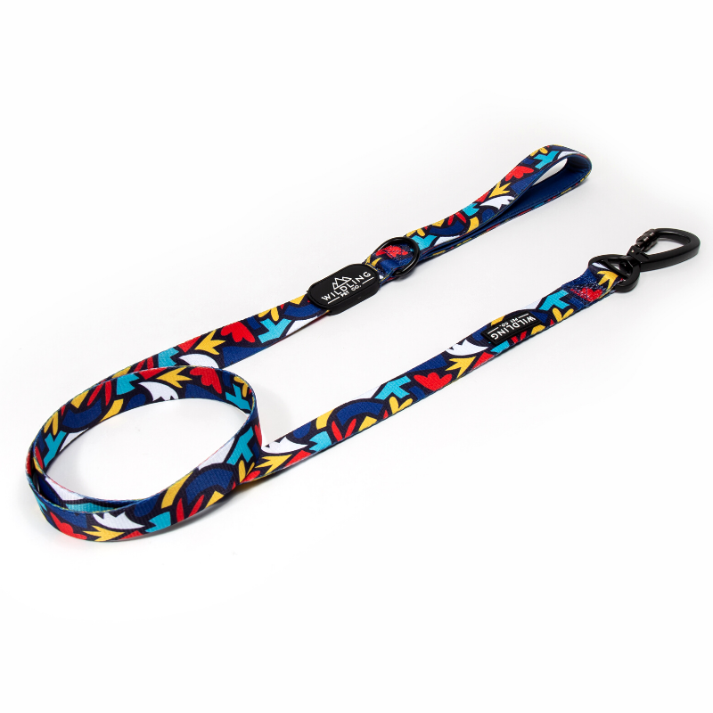 Fiesta Dog Leash