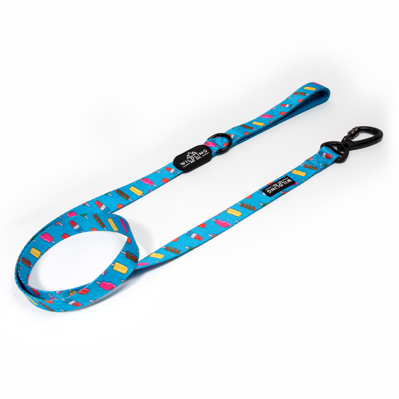 Icepop Dog Leash