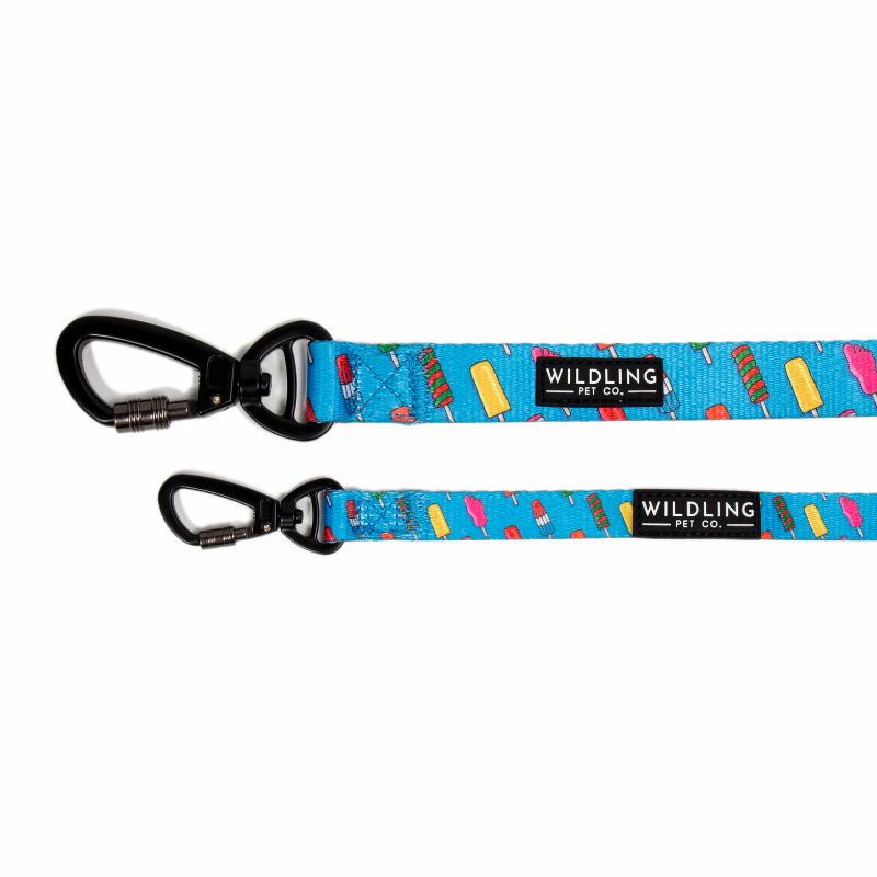 Icepop Dog Leash