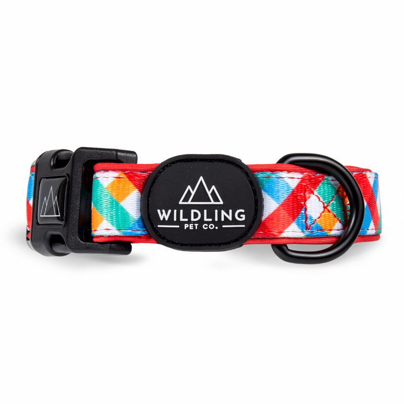 Picnic Dog Collar