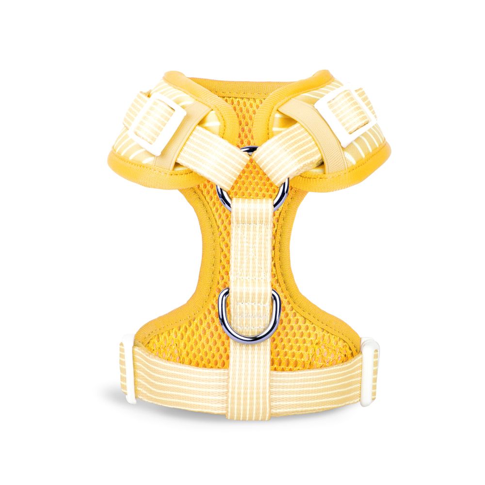 Remix Dog Harness | Honeycomb