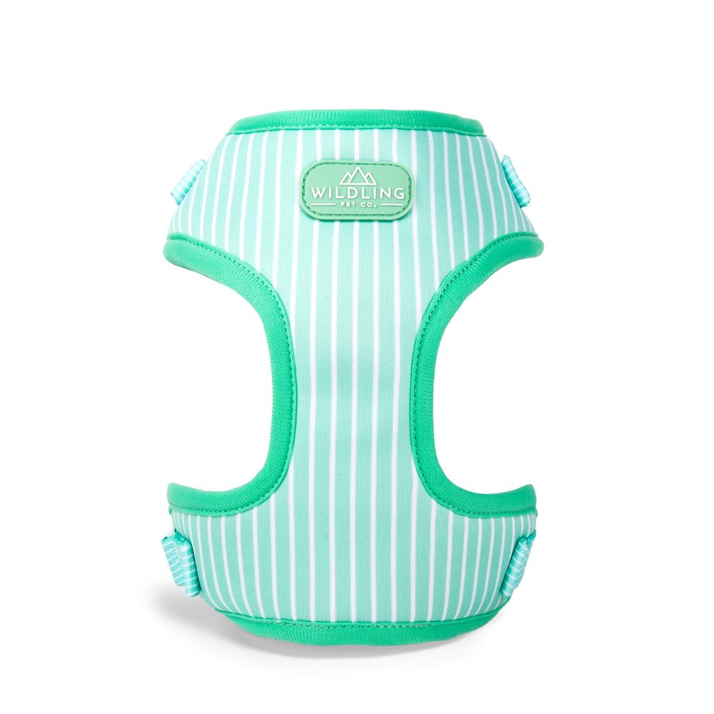 Remix Dog Harness | Minty