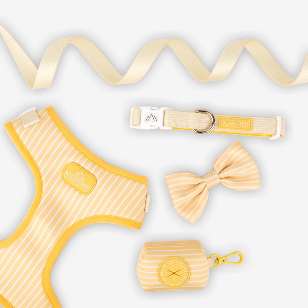 Remix Bow Tie | Honeycomb