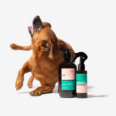 The 'Of course I rolled in it' Dog Shampoo