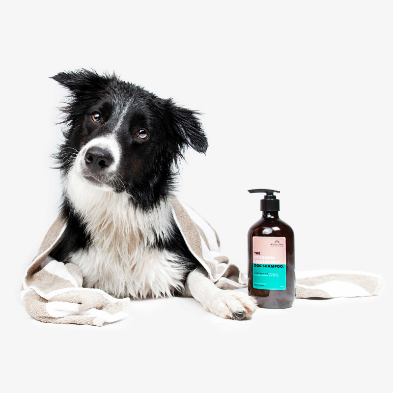 The Dog Shampoo