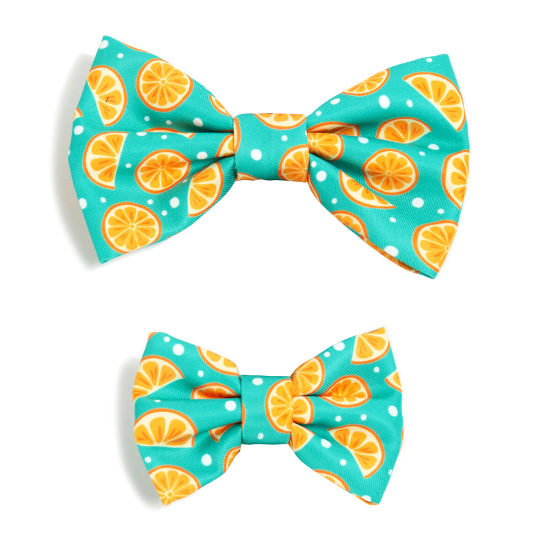 Zest Bow Tie