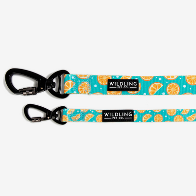 Zest Dog Leash