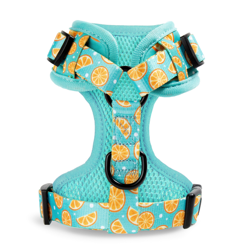 Zest Dog Harness