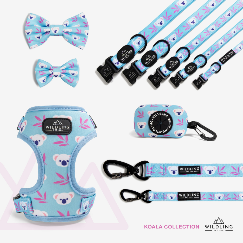 Koala Bow Tie