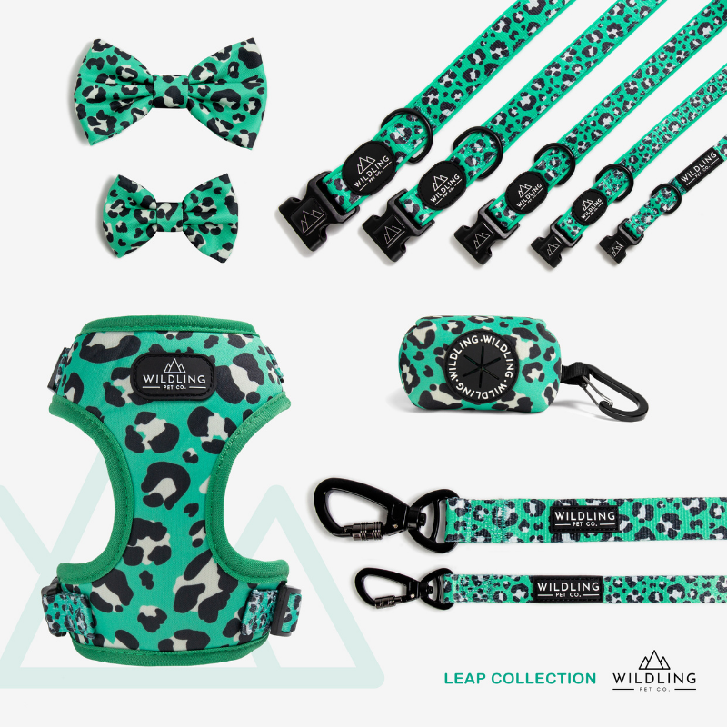 Leap Dog Harness