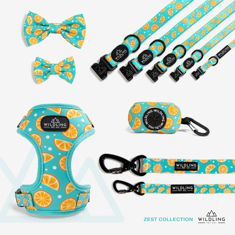 Zest Bow Tie