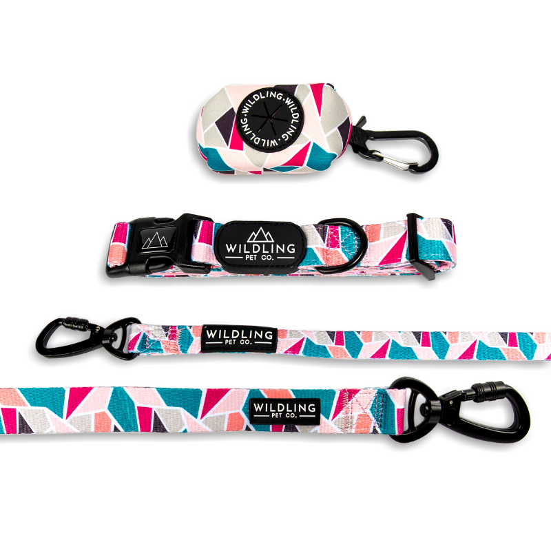 Wildling Pet Co. Acute Dog Collar | Peticular