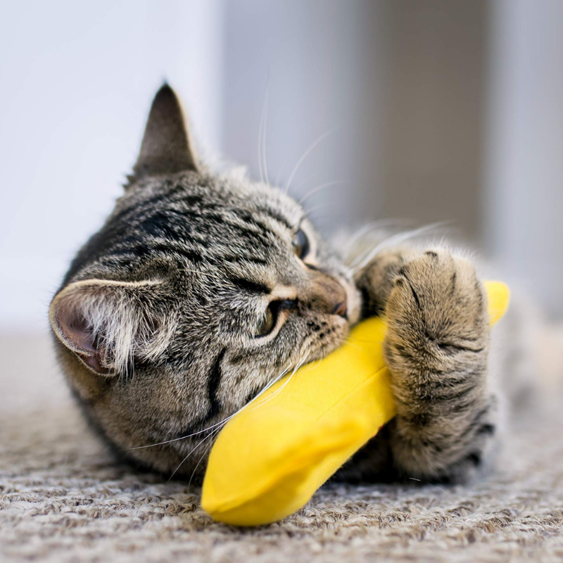 Banana Catnip Toy