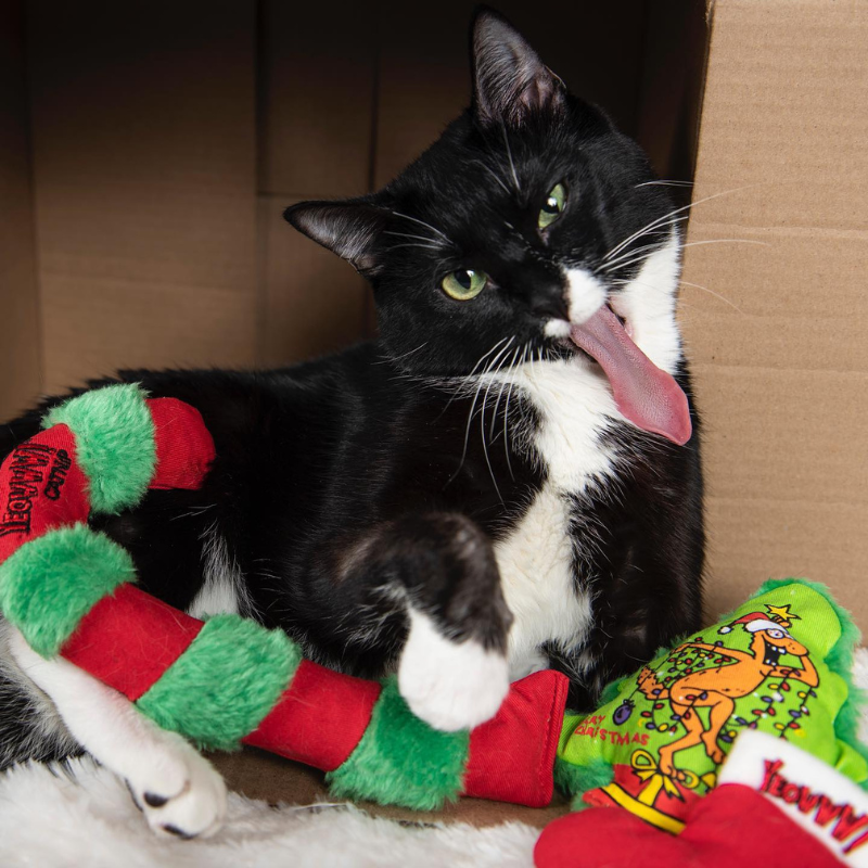 Christmas Stocking Catnip Toy