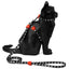 Zee.Cat Cat Harness + Leash Set | Skull 2.0