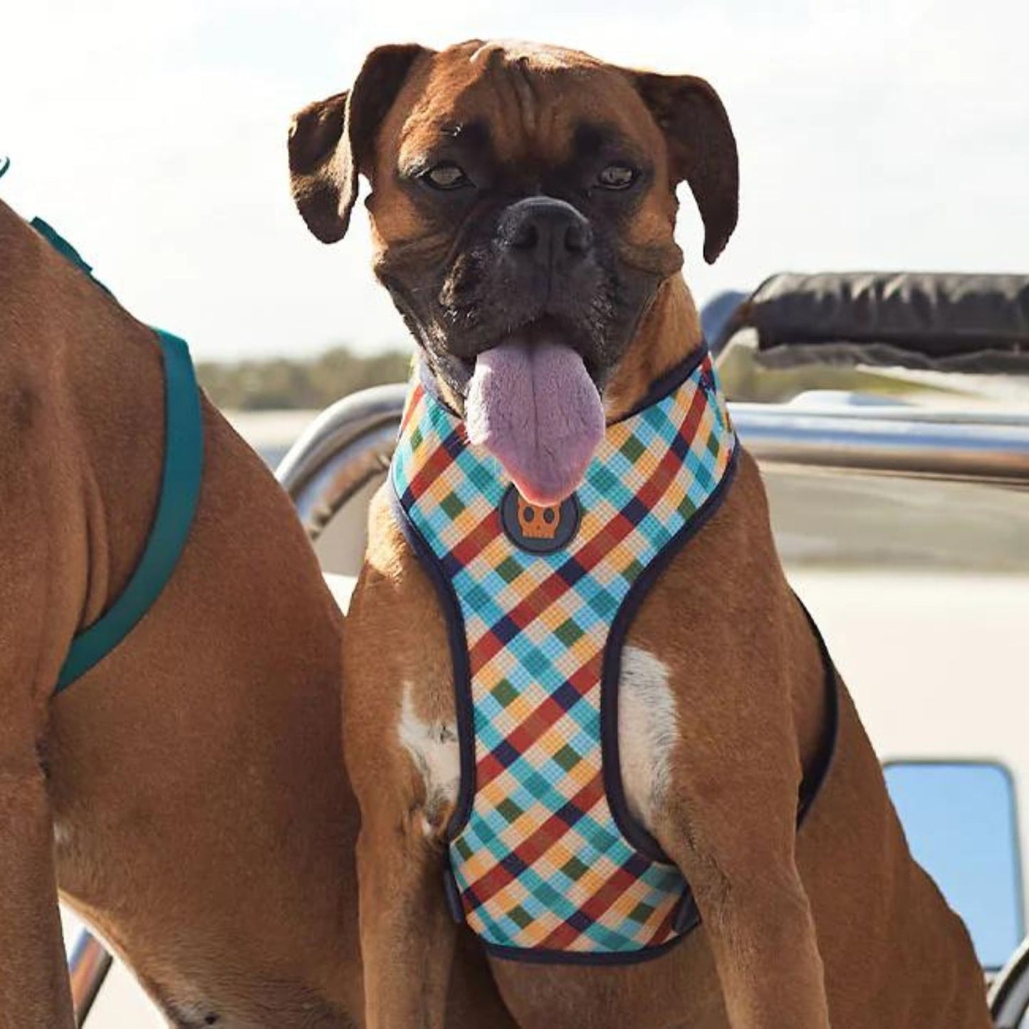 Phantom Adjustable Air Mesh Dog Harness