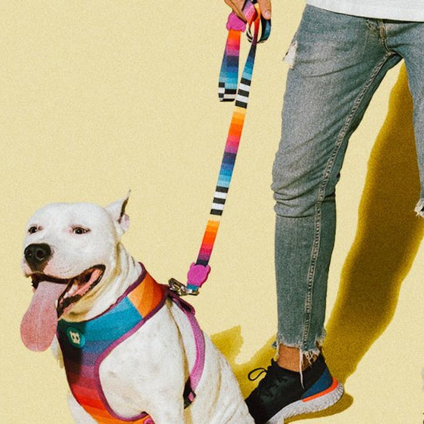 Prisma Adjustable Air Mesh Dog Harness