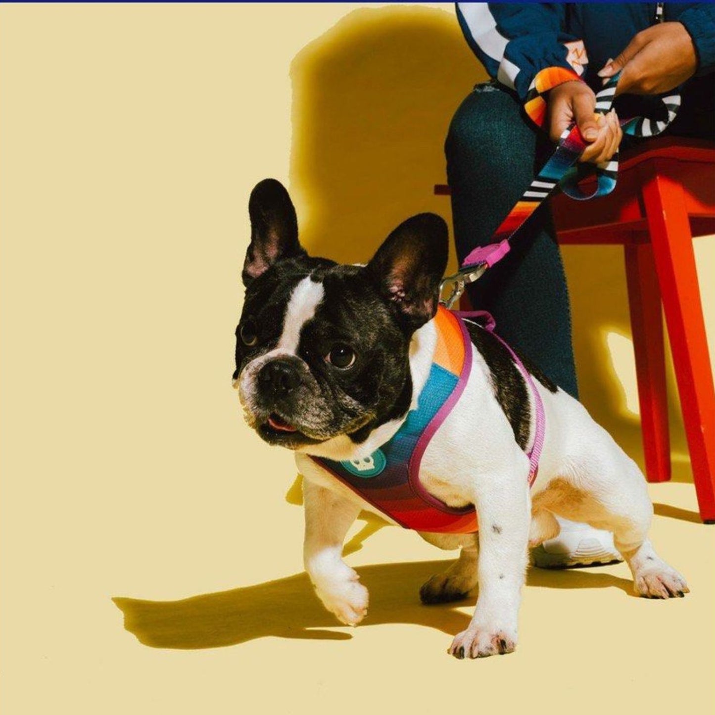 Prisma Adjustable Air Mesh Dog Harness