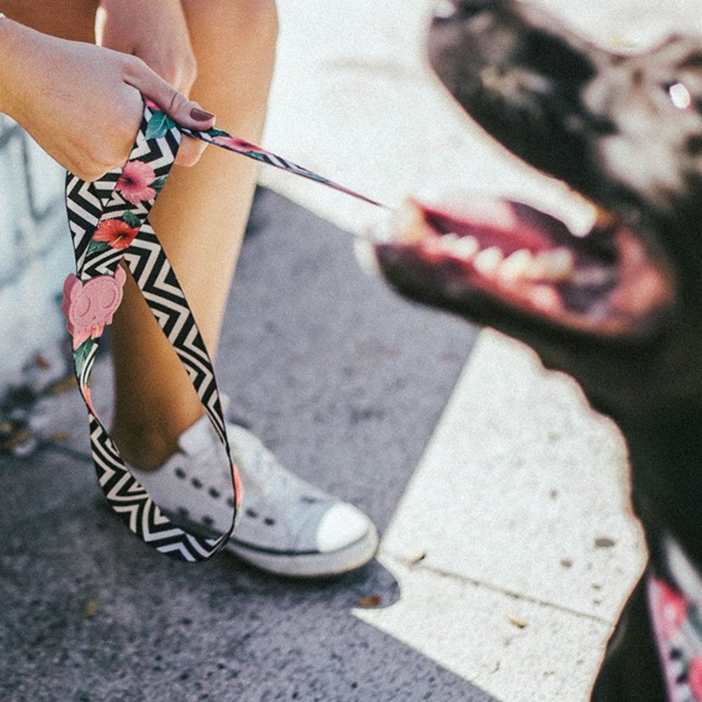 Mahalo Dog Leash