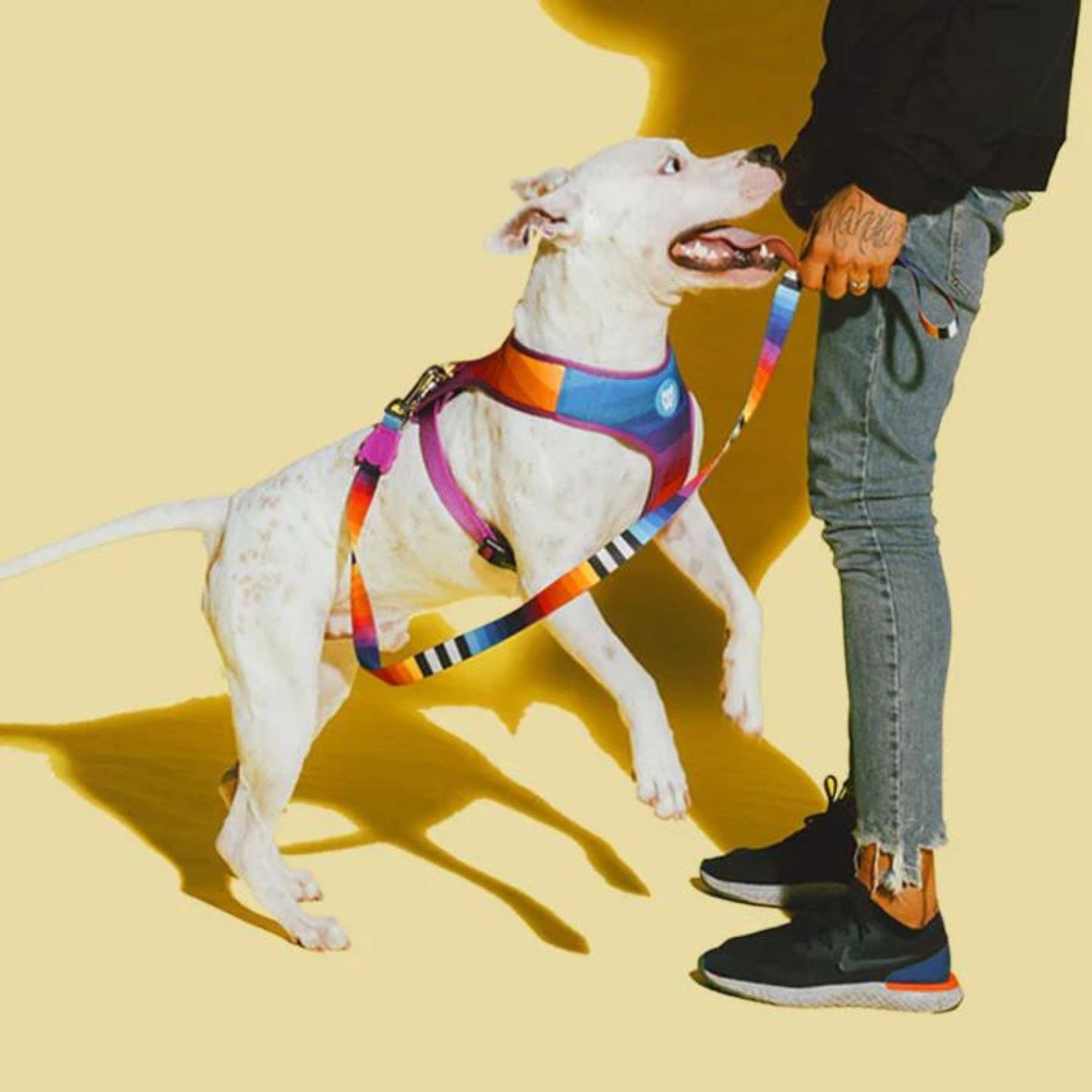 Prisma Dog Leash