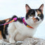 Zee.Cat Cat Harness + Leash Set | Prisma