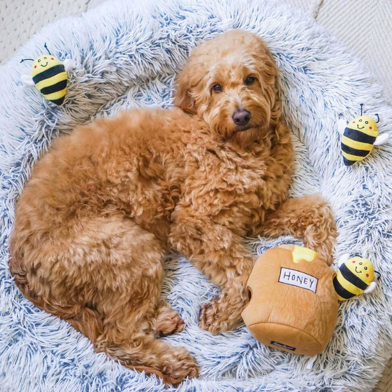 Interactive Dog Toy | Honey Pot