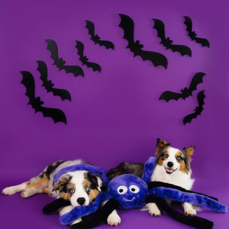 Zippy Paws Halloween Spiderz | Purple | Peticular