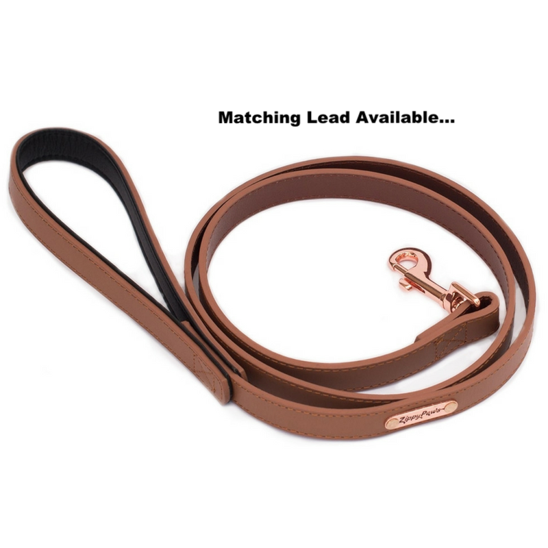 Zippy Paws Leather & Rose Gold Dog Collar | Brown | Peticular