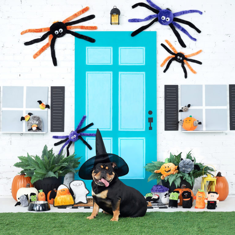 Zippy Paws Halloween Spiderz | Purple | Peticular