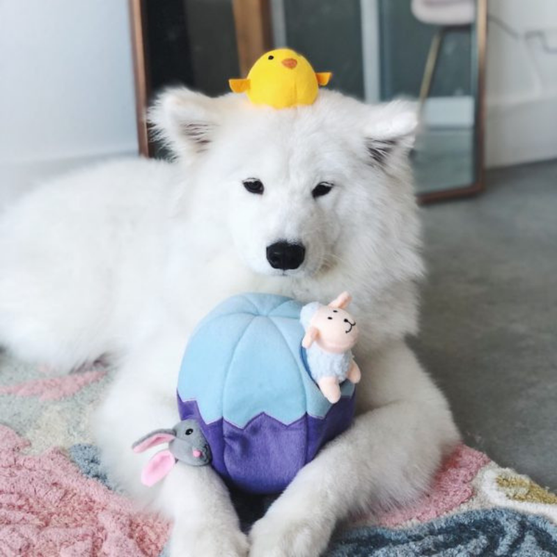 Zippy Paws Interactive Dog Toy | Egg And Friends | Peticular