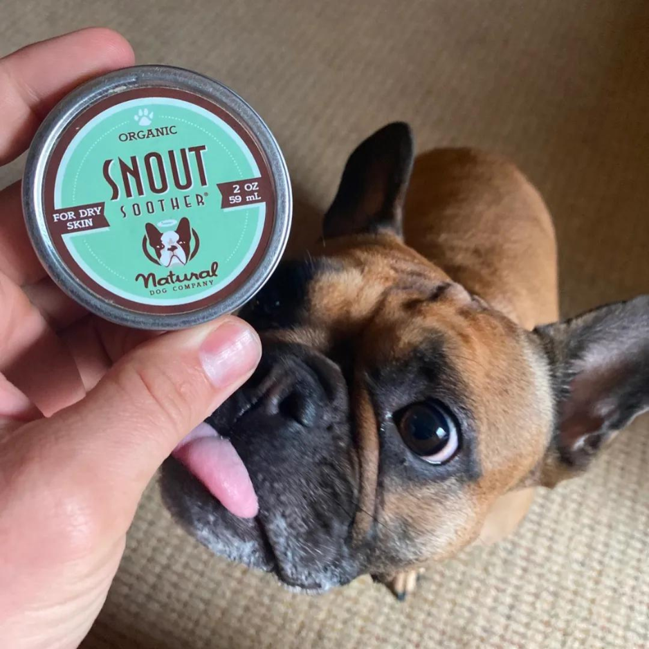 Soothing Dry Doggie Snouts!