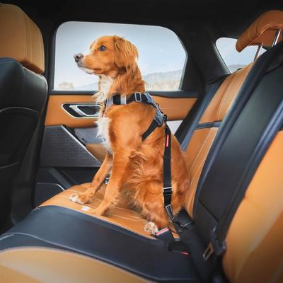Dog Safety Travel Essentials Dog Harness Seatbelt